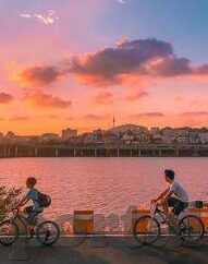 和麻豆齐名的传媒-麻豆传媒的映辉,与齐名者的传媒变革之旅