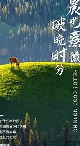 www.91麻豆视频-探索互联网视频平台的多元化魅力